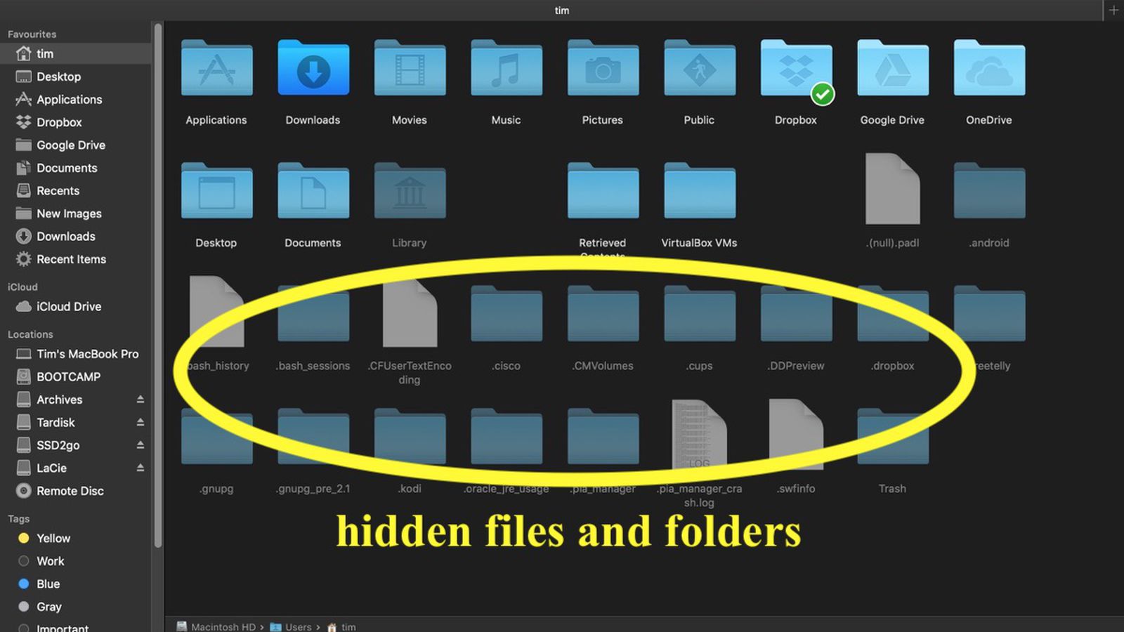 searching for hidden files on mac
